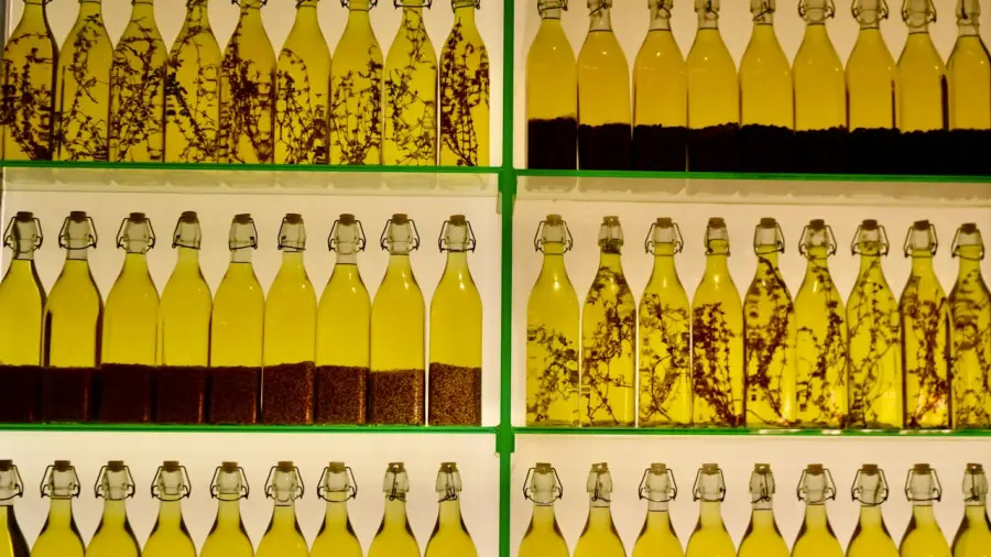 EVOLIO Expo 2026 cresce e convince: 6.720 visitatori e buyer internazionali in forte aumento