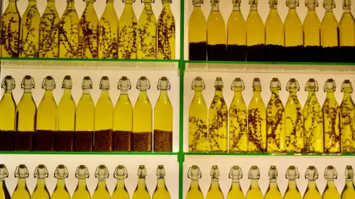 EVOLIO Expo 2026 cresce e convince: 6.720 visitatori e buyer internazionali in forte aumento