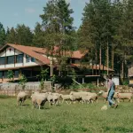 Agriturist Puglia, avviato il corso per “Responsabile di agriturismo”