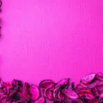 Giornata Mondiale delle Malattie Rare 2026: Bari illumina di magenta la fontana di piazza Moro