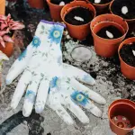 Differenza tra pacciamatura naturale e artificiale