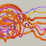 Bari ospita la fase regionale delle Olimpiadi delle Neuroscienze 2026