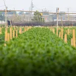 UniBa al forum internazionale sull’agricoltura sostenibile: siglata alleanza euroasiatica