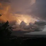 Maltempo a Bari, cimiteri riaperti e verifiche ancora in corso su parchi e giardini