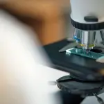 Università di Bari, studio sulla dieta Kura-Araxes
