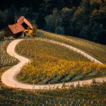 Patentino fitosanitario, ultimi giorni per iscriversi al corso online