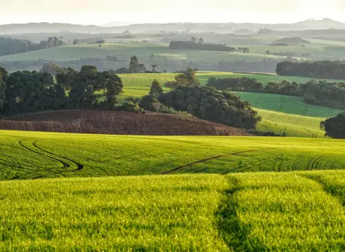 Puglia, Mini Camp 2026 per 45 studenti in agroecologia
