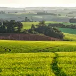 Puglia, Mini Camp 2026 per 45 studenti in agroecologia