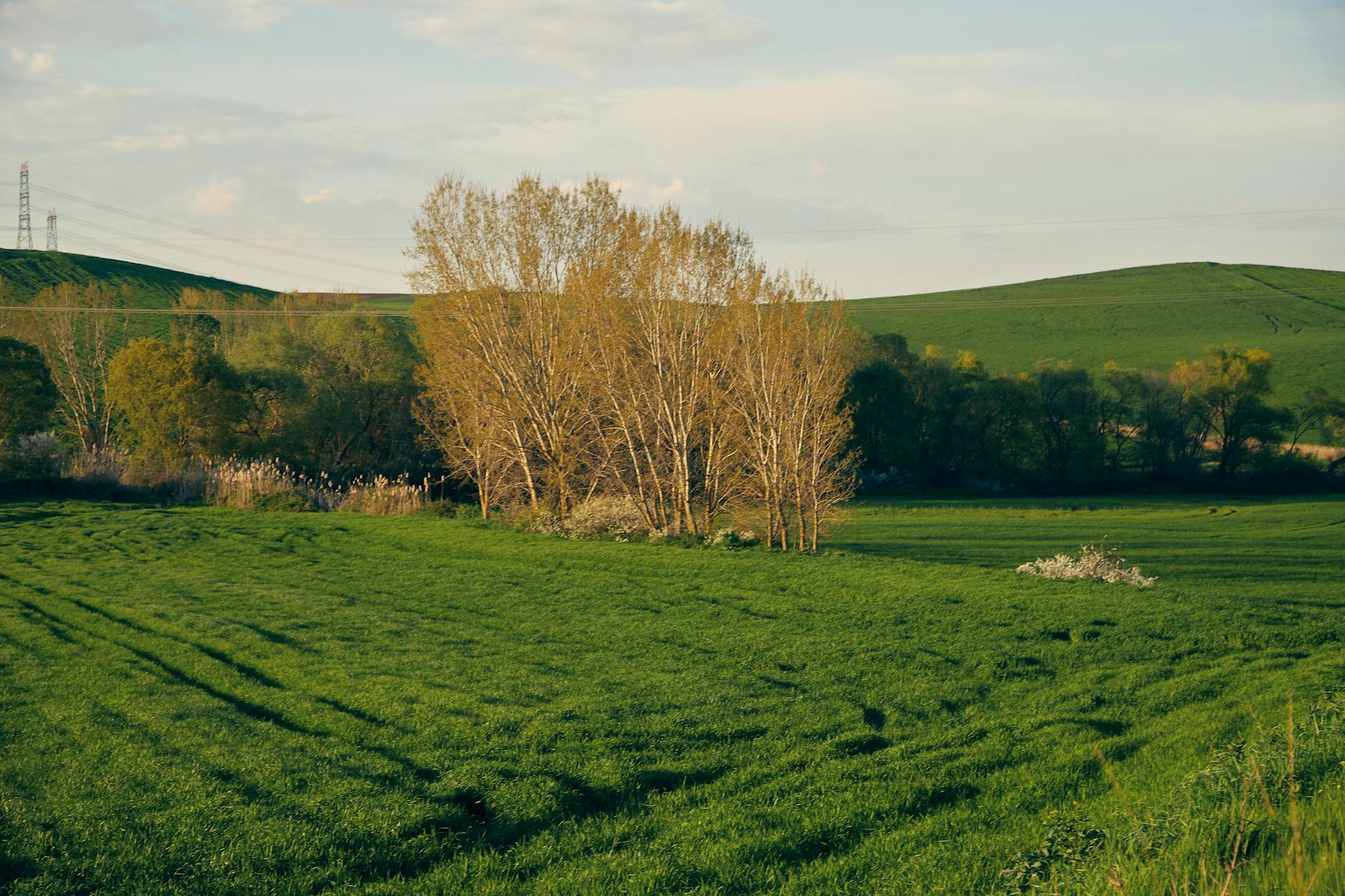 Biodiversità pugliese, a Bari la presentazione degli eventi