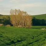 Biodiversità pugliese, a Bari la presentazione degli eventi