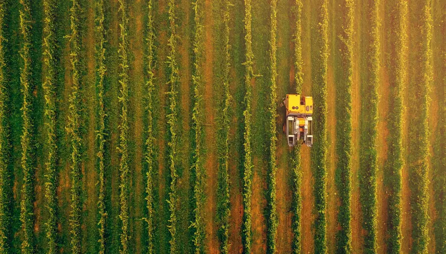 Puglia, bando da 40 milioni per le filiere agroalimentari
