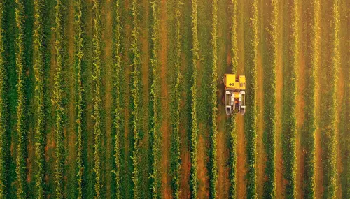 Puglia, bando da 40 milioni per le filiere agroalimentari