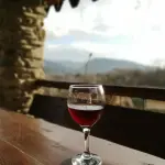 I vini di Castel del Monte DOC: guida al Nero di Troia e alle cantine dell’Alta Murgia barese, il vino di Federico II che torna grande