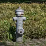 Collegamento Liscione–Occhito, Decaro al tavolo tecnico: “Opera prioritaria, bene l’impegno per accelerare”