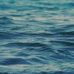 Prorogata fino al 24 gennaio la mostra “Il mare che unisce” al Museo Civico di Bari